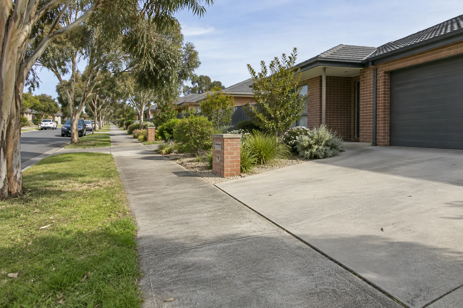 Concrete paths and driveways along a Geelong suburban street
